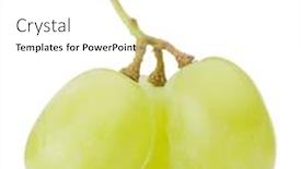  Presentation with grape - PPT theme enhanced with green grape bunch isolated on white background cutout background and a white colored foreground