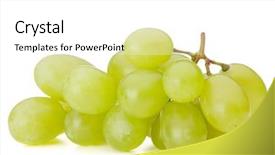  Presentation with table grape - Audience pleasing PPT theme consisting of green grape bunch isolated backdrop and a white colored foreground