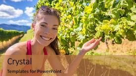  Presentation with wine green - Beautiful slides featuring green grapes on grapevine backdrop and a coral colored foreground