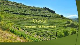  Presentation with blue green - Cool new PPT layouts with green-grapes-vinery-landscape backdrop and a tawny brown colored foreground