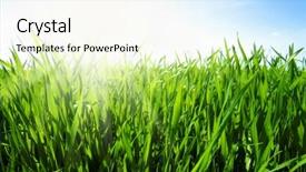  Presentation with blue green - Cool new presentation theme with green grass against the blue backdrop and a  colored foreground