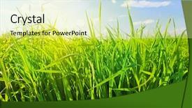 Presentation with blue green - Cool new theme with green grass and blue sky backdrop and a  colored foreground