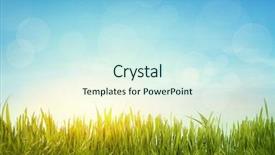  Presentation with blue green - PPT theme featuring set of tigers eye tiger background and a coral colored foreground.