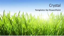  Presentation with blue green - PPT layouts consisting of green grass and blue sky background and a  colored foreground