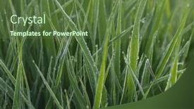  Presentation with green morning - 