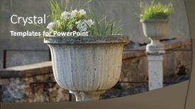  Presentation with geranium - Slides enhanced with green-grass-and-white-geranium background and a gray colored foreground