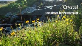  Presentation with scandinavia - Beautiful theme featuring green-grass-and-yellow-flowers backdrop and a dark gray colored foreground