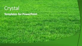  Presentation with abstract green - Colorful presentation design enhanced with green-grass-background-abstract-image backdrop and a shamrock green colored foreground