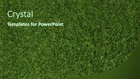  Presentation with green lawn - Slides featuring green-grass-background-and-top background and a tawny brown colored foreground