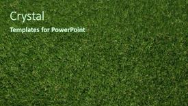  Presentation with green lawn - PPT theme enhanced with green-grass-background-and-top background and a tawny brown colored foreground