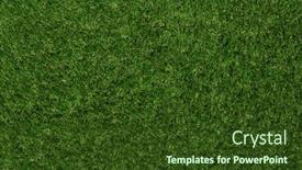  Presentation with green lawn - Presentation theme consisting of green-grass-background-and-top background and a tawny brown colored foreground