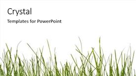  Presentation with grass texture on green - Beautiful presentation theme featuring green grass background studio isolated backdrop and a  colored foreground