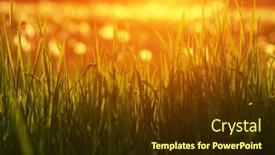  Presentation with soft focus abstract nature - 