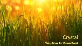  Presentation with soft focus abstract nature - 