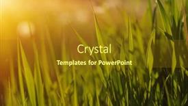  Presentation with soft focus abstract nature - 