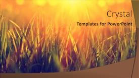  Presentation with soft focus abstract nature - 