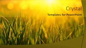  Presentation with soft focus abstract nature - 