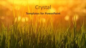  Presentation with soft focus abstract nature - 