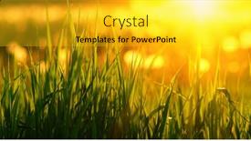  Presentation with soft focus abstract nature - 