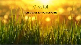  Presentation with soft focus abstract nature - 