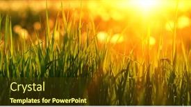  Presentation with soft focus abstract nature - 