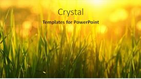  Presentation with soft focus abstract nature - 