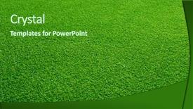  Presentation with green gram - Slides with green grass background background and a forest green colored foreground