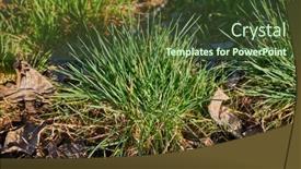  Presentation with grass - Cool new slide deck with green-grass-blob-grassy-meadow backdrop and a tawny brown colored foreground