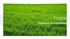  Presentation with white green - Slide set enhanced with green-grass-carpet-in-square background and a tawny brown colored foreground