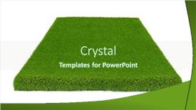  Presentation with white green - Presentation featuring green-grass-carpet-in-square background and a forest green colored foreground