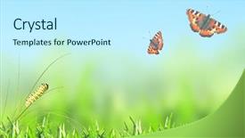  Presentation with green nature - Amazing slide deck having green grass caterpillar and butterfly backdrop and a cool aqua colored foreground