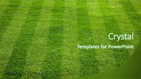  Presentation with cut - Presentation theme featuring green grass cuttings background and a tawny brown colored foreground