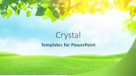  Presentation with green foliage - Presentation theme consisting of green-grass-field-foliage background and a cool aqua colored foreground