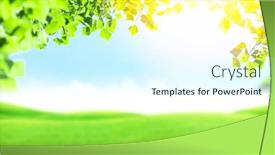  Presentation with green foliage - Theme with green-grass-field-foliage background and a cool aqua colored foreground