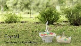  Presentation with green gram - Audience pleasing PPT theme consisting of chickenjoy - baskets with colorful eggs backdrop and a yellow colored foreground