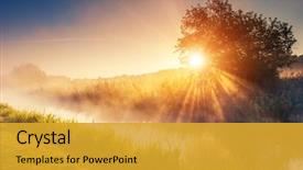  Presentation with tree river - Audience pleasing slide deck consisting of green grass in the sun backdrop and a gold colored foreground