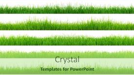  Presentation with green lawn - Colorful presentation theme enhanced with green-grass-isolated-on-white backdrop and a mint green colored foreground