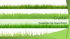  Presentation with green lawn - Audience pleasing slide set consisting of green-grass-isolated-on-white backdrop and a mint green colored foreground
