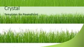  Presentation with art white gray grey - Presentation with green grass isolated on white background and a seafoam green colored foreground