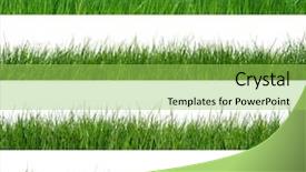  Presentation with art white gray grey - Beautiful PPT theme featuring green grass isolated on white backdrop and a yellow colored foreground