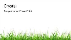  Presentation with white green - Presentation enhanced with green-grass-isolated-on-white background and a white colored foreground