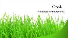  Presentation with white green - Amazing theme having green grass isolated on white backdrop and a white colored foreground