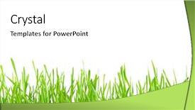  Presentation with art white gray grey - Audience pleasing slide set consisting of green grass isolated on white backdrop and a  colored foreground