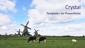  Presentation with grass - Colorful slide set enhanced with chocolate vanilla and strawberry ice backdrop and a light gray colored foreground