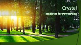  Presentation with green city - Presentation with green grass on a sunny background and a wine colored foreground