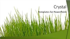  Presentation with art white gray grey - Colorful slides enhanced with green grass on a white backdrop and a white colored foreground