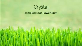  Presentation with green - Presentation design featuring green grass on green background background and a mint green colored foreground