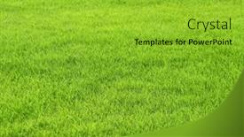  Presentation with green lawn - 