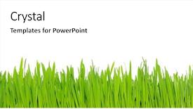  Presentation with white green - Colorful presentation theme enhanced with green grass on white background backdrop and a  colored foreground