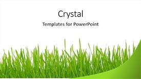  Presentation with art white gray grey - Slide deck consisting of green grass on white background background and a white colored foreground